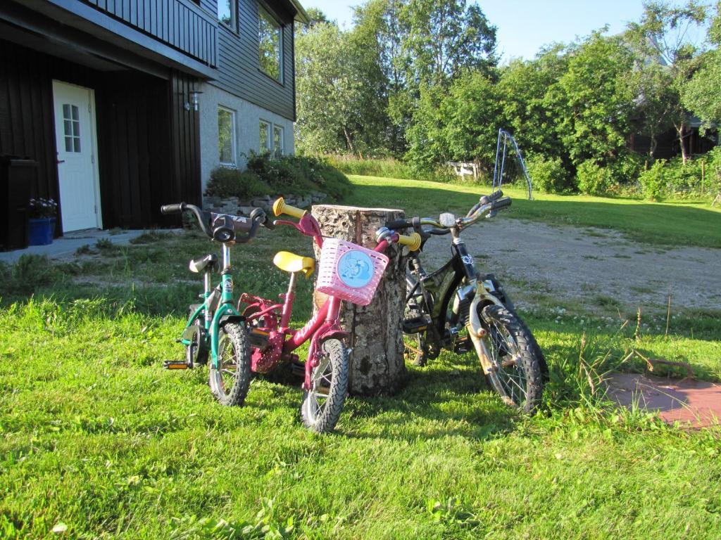 Midt I Lofoten Alstad  외부 사진